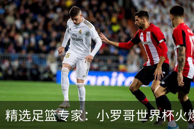 精选足篮专家：小罗哥世界杯火爆9连红长线15中13！