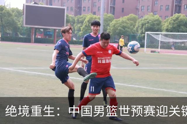 绝境重生：中国男篮世预赛迎关键第二阶段 拼搏定能破局